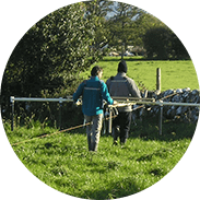 Geophysical Ground Investigation
